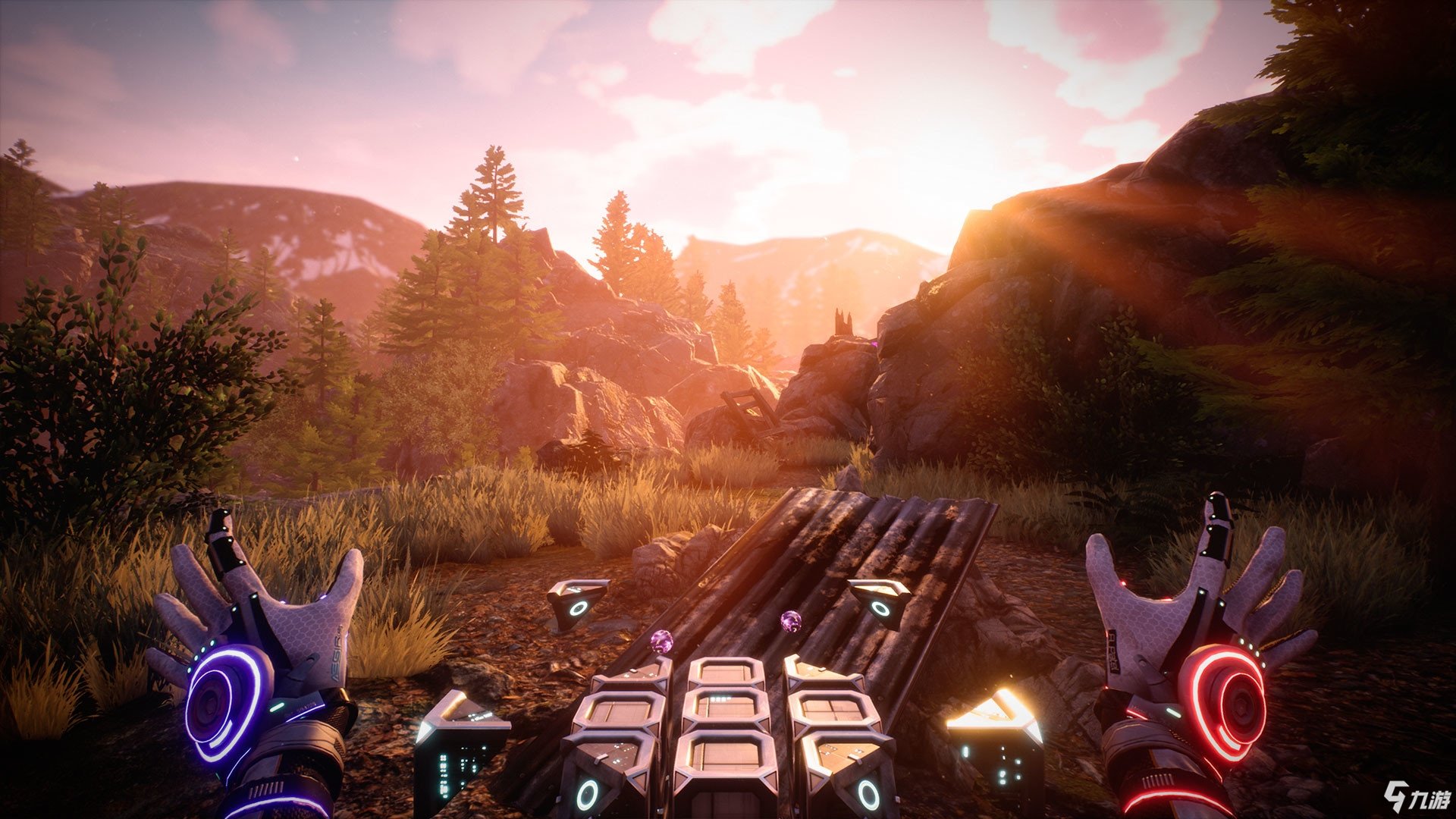 F1 2024 豪华版 截图13